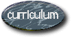 il curriculum vitae